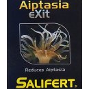 Aiptasia eXit - gegen Glasrosen