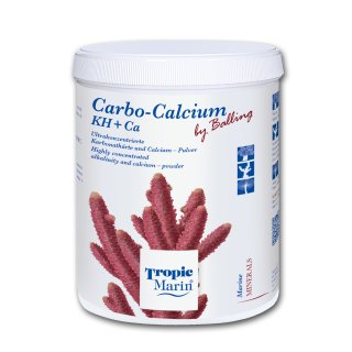 CARBO-CALCIUM Pulver 700 g
